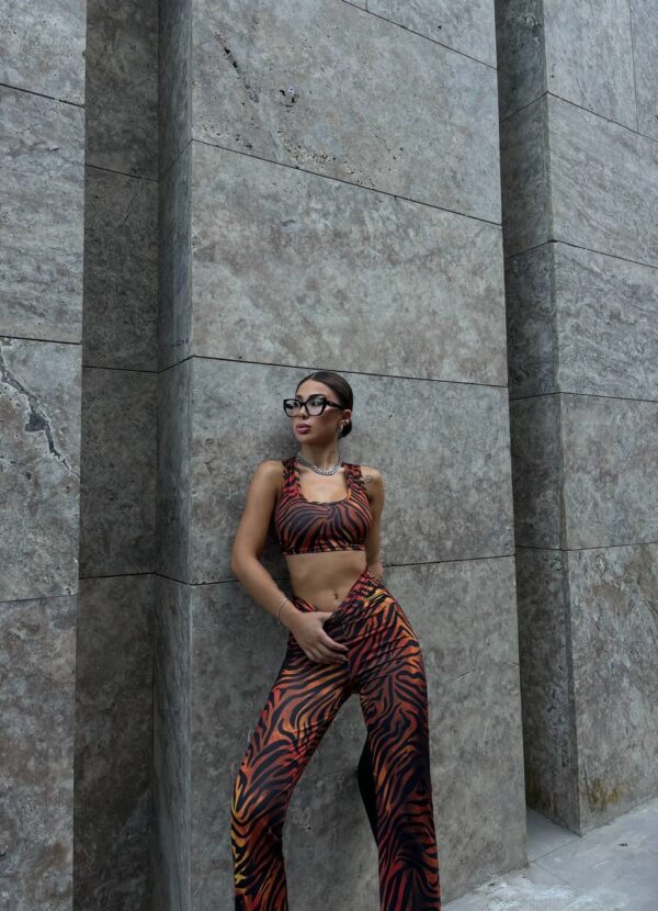 Desenli Crop Pantolonlu Takım
